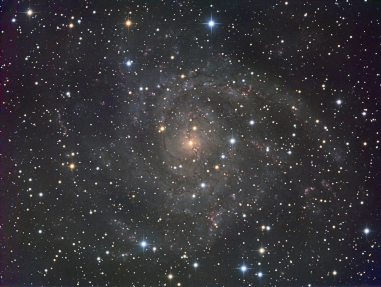 IC 342 from BMV Observatories