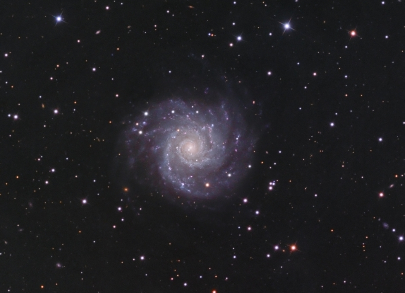 M74  from BMV Observatories