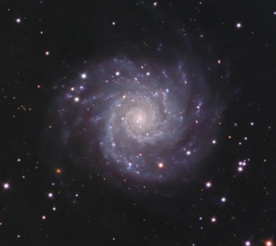 M74  from BMV Observatories
