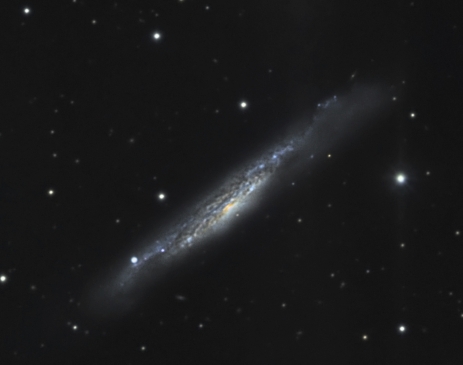 NGC 3079  from BMV Observatories