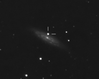 NGC3972 with sn2011by from BMV Observatories
