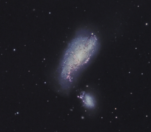 NGC 4490   from BMV Observatories
