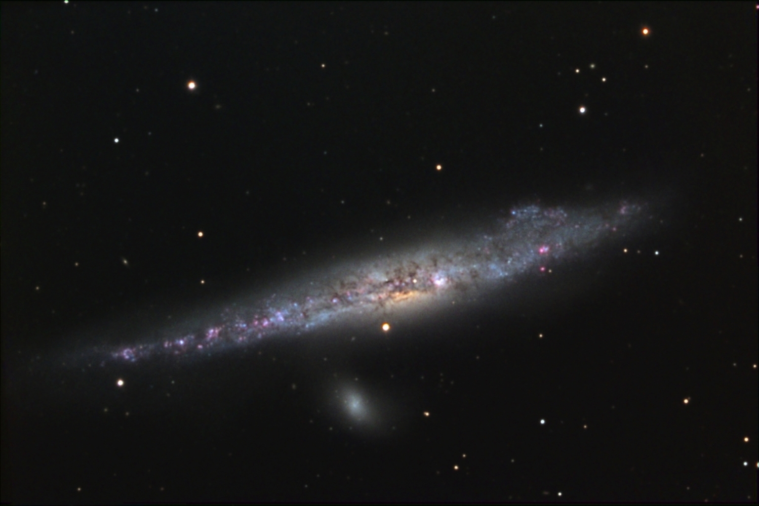 NGC 4631 from BMV Observatories