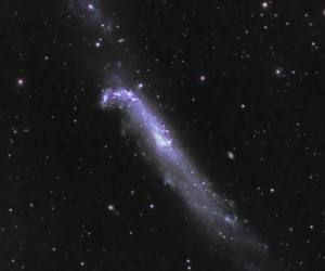 NGC 4656  from BMV Observatories